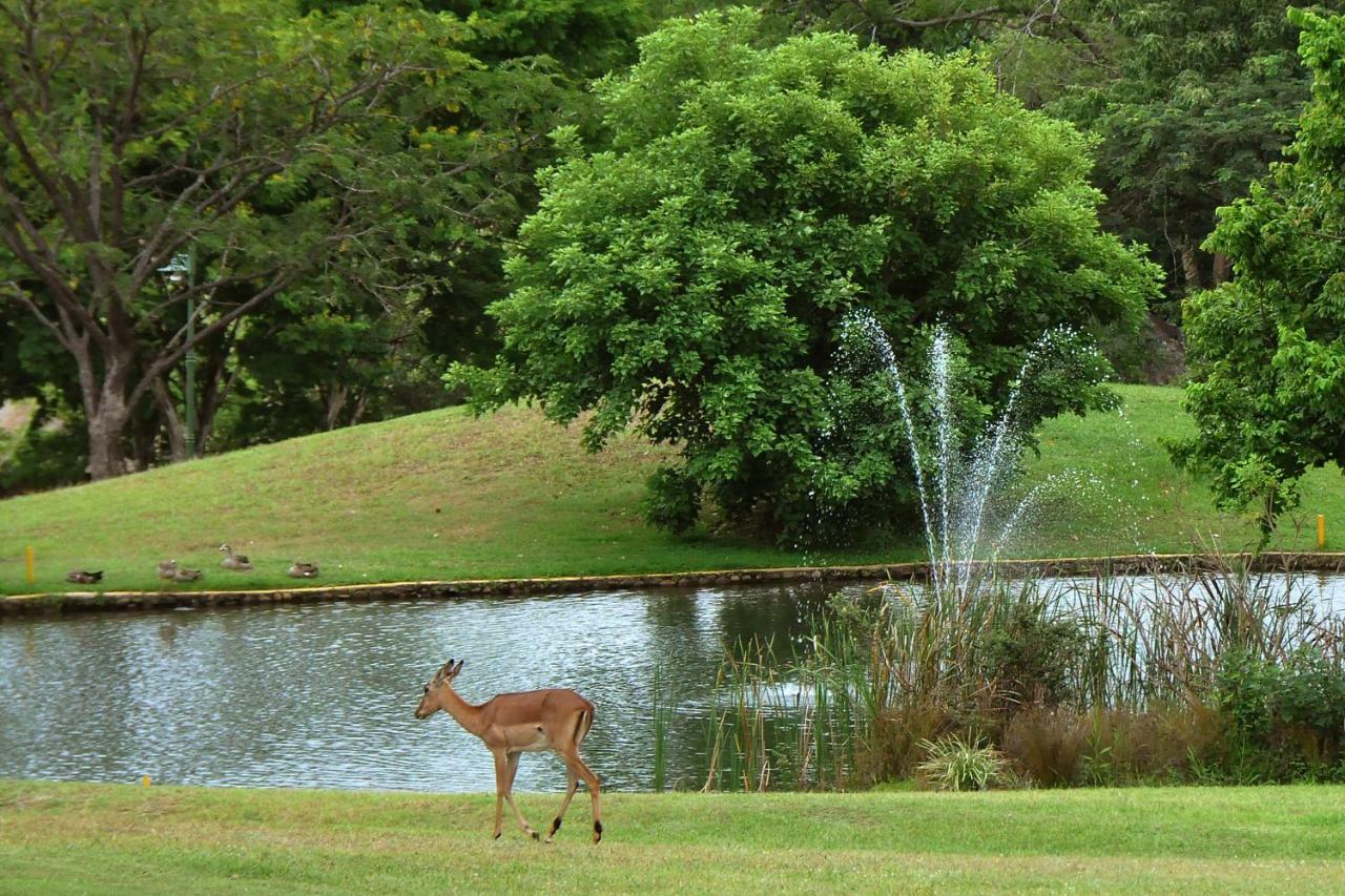 Kruger Park Lodge Unit No. 612 Hazyview Esterno foto