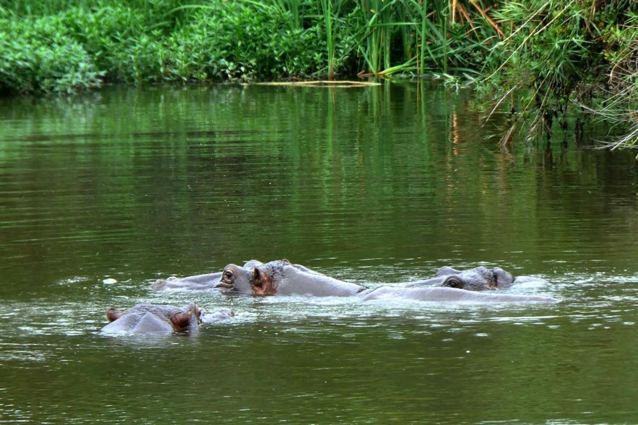 Kruger Park Lodge Unit No. 612 Hazyview Esterno foto